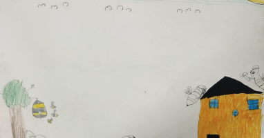 Emir Talha Işıklı