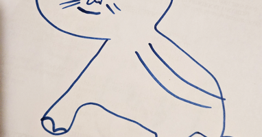 Tunahan Gönen Yavaş