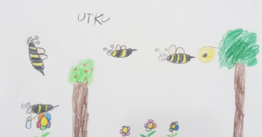 Utku Katrancı