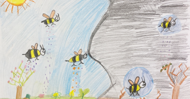 Zehra Ecem Tümüklü